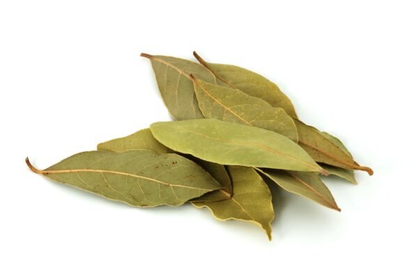 SPICE N FLY ™ Premium Bay Leaf - பிரியாணி இலை - Biryani Ilai
