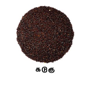 SPICE N FLY ™ Premium Mustard - கடுகு - Kadugu