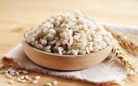 SPICE N FLY ™ Premium Barley - பார்லி - Barley