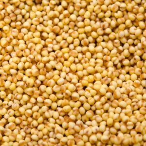 SPICE N FLY ™ Premium Foxtail -Thinai - திணை - Thinai