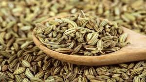 SPICE N FLY ™ Premium Fennel Seed - பெருஞ்சீரகம் - Perunseeragam