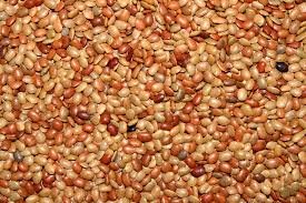 SPICE N FLY ™ Premium Kollu - கொள்ளு - Kollu
