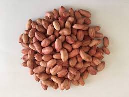 SPICE N FLY ™ Premium Peanuts - வேர்க்கடலை - Verkadalai